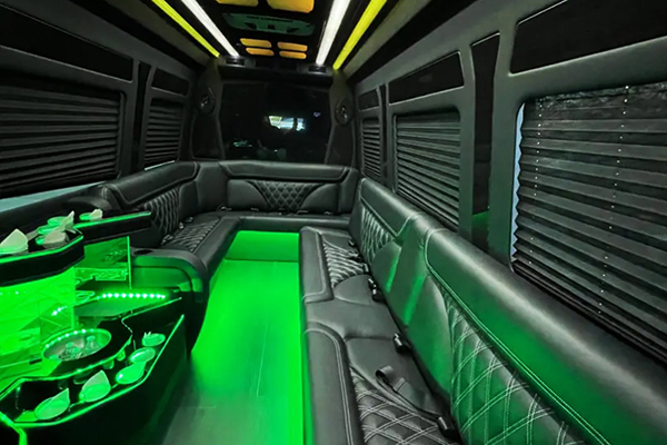 sprinter van neon lights